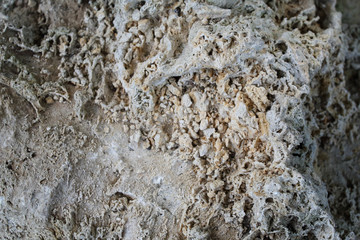White volcanic rock. Background