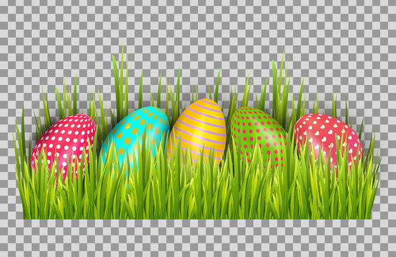 Premium Vector  Painted eggs on the grass on an isolated transparent  background. easter eggs png, grass png. easter.