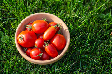 Red tomatoes on a wooden plate