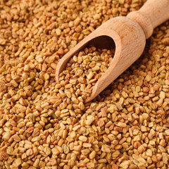 Brown aromatic fenugreek seeds isolated on white background