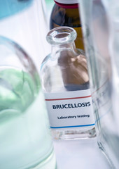 Test brucellosis in laboratory, conceptual image, horizontal composition