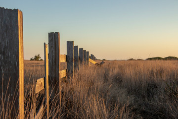 Obraz premium sunset sonoma county