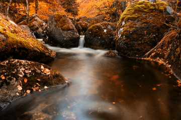 stream in autumn © Dimitar
