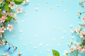 Beautiful spring nature background with butterfly, lovely blossom, petal a on turquoise blue background , top view, frame. Springtime concept. - 253151798