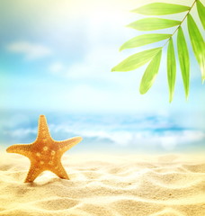 Fototapeta na wymiar Summer beach background. Sand, palm leaf, starfish, sea and sky. Summer concept