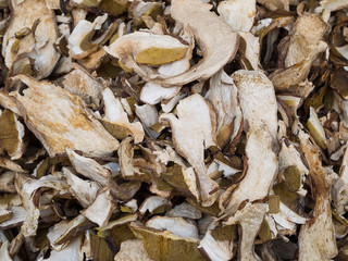 dried mushrooms boletus edulis (penny bun, cep, porcino)