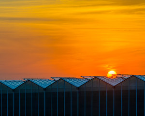 Large Industrial Greenhouse at Sunset