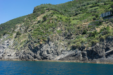 Italy,Cinque Terre,Riomaggiore, a large wineyard farm om the moutanin slope, terrace farming