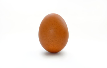 chicken egg on white background