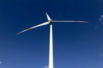 Wind turbines in an eolic park