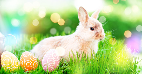 easter card background 
