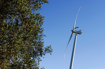 Wind turbines in an eolic park