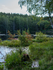A small lake with thick grass and forest on the shores.