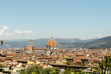 Fototapeta na wymiar tiled roofs and cathedral of florence top view