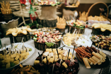 Delicious snacks at wedding reception, close up