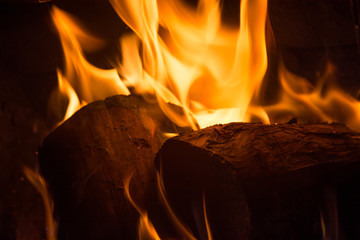 Logs on fire