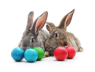Rabbits and Easter eggs.