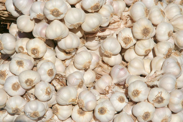 garlics at bazaar