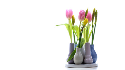 Tulpen und Narzissen in kleinen Vasen isoliert mit Textfreiraum