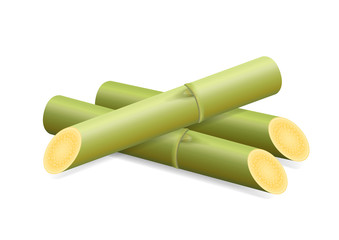 Illustration Sugar Cane, Cane, Pieces of Fresh Sugarcane Green, Sugar Cane Cut Isolated on White Background