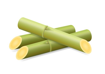 Illustration Sugar Cane, Cane, Pieces of Fresh Sugarcane Green, Sugar Cane Cut Isolated on White Background