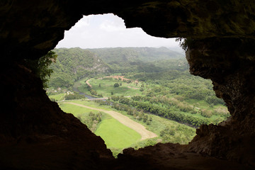 Things you see in Puerto Rico