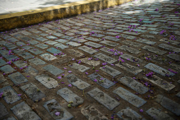 Things you see in Puerto Rico