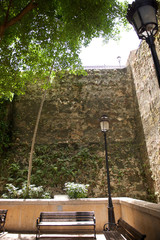 Things you see in Puerto Rico