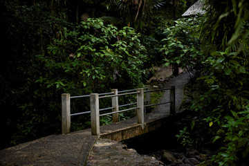 Things you see in Puerto Rico