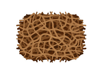 illustration of nest termite texture close up isolated on white background, clip art termite nest, termite nest ant insect species eaten wood decay and bite damaged, termite nest white ants close-up