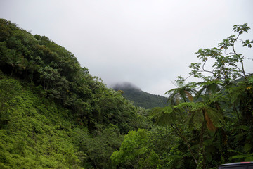 Things you see in Puerto Rico