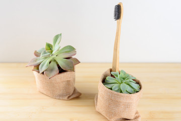 Bamboo toothbrush by the beautiful succulent plant on wooden background.