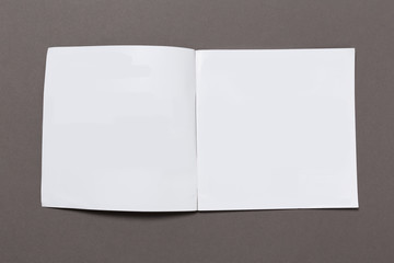 Magazine Mockup. Magazine page concept