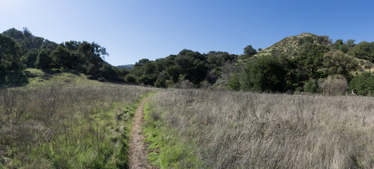 Obraz premium Trail through Grass Meadow