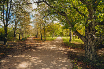 Promenade in a beautiful city park
