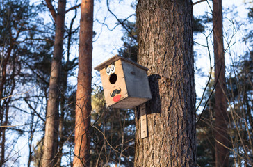 Colorful birdhouse on a tree in the park