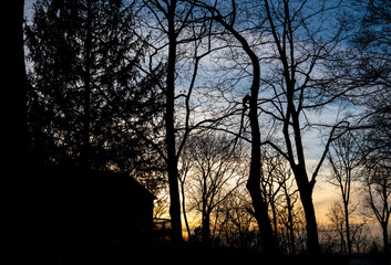 end of winter sunset in the woods