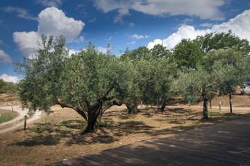 Fototapeta premium Sperlinga (Enna, Sicilia)