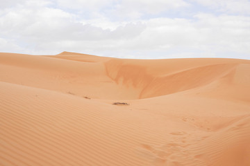 Wahiba Sands Desert Oman 