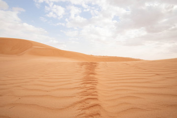 Fototapeta na wymiar Wahiba Sands Desert Oman 