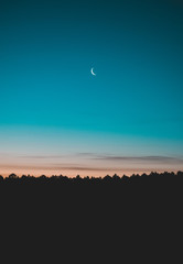 Amaneciendo con la luna 