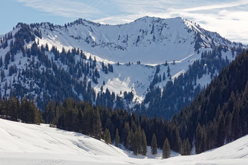 View of Walserkamm from Garnitza valley