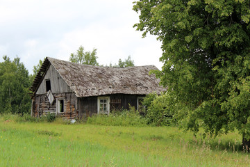 Obraz premium old wooden house in the village