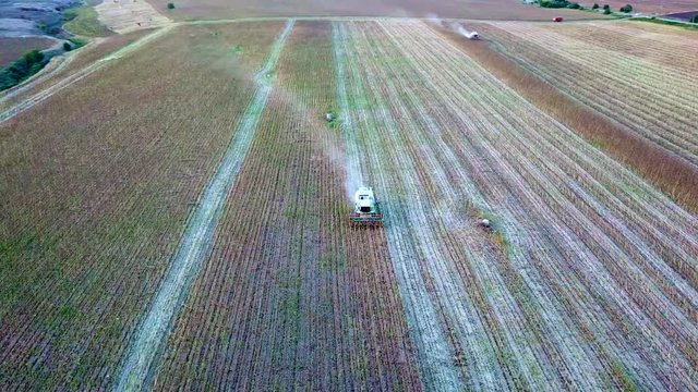 Combine machine working on a field. Aerial view