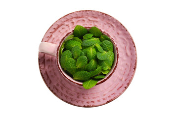 Mint leaves in a cup isolated on white background.