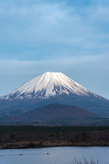 Mount Fuji or Mt. Fuji, the World Heritage, view in Lake Shoji ( Shojiko ). Fuji Five Lake region, Minamitsuru District, Yamanashi prefecture, Japan. Landscape for travel destination.