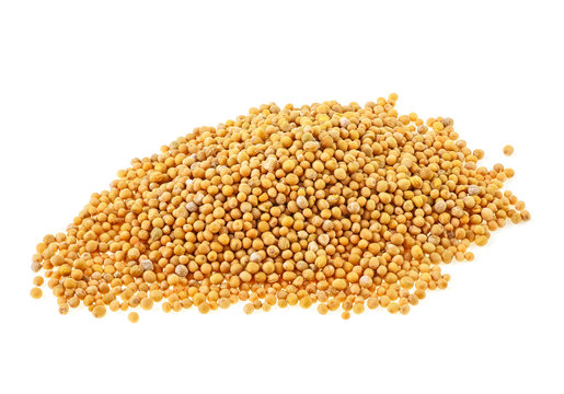 Heap of mustard seeds isolated on white background