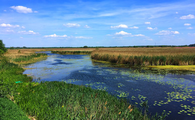 river landscape surrounded by greenery, Poland