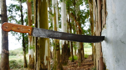 machete 