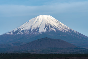 Fototapeta premium Mount Fuji or Mt. Fuji, the World Heritage, view at Lake Shoji ( Shojiko ). Fuji Five Lake region, Minamitsuru District, Yamanashi prefecture, Japan. Landscape for travel destination.
